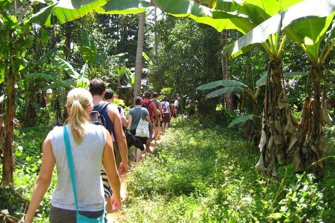 Spice farm, Zanzibar