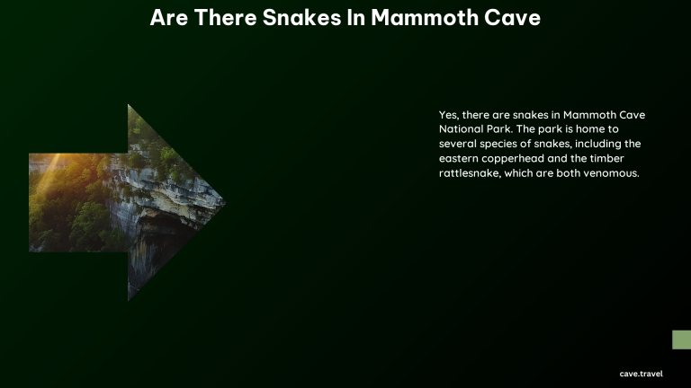 Are There Snakes in Mammoth Cave