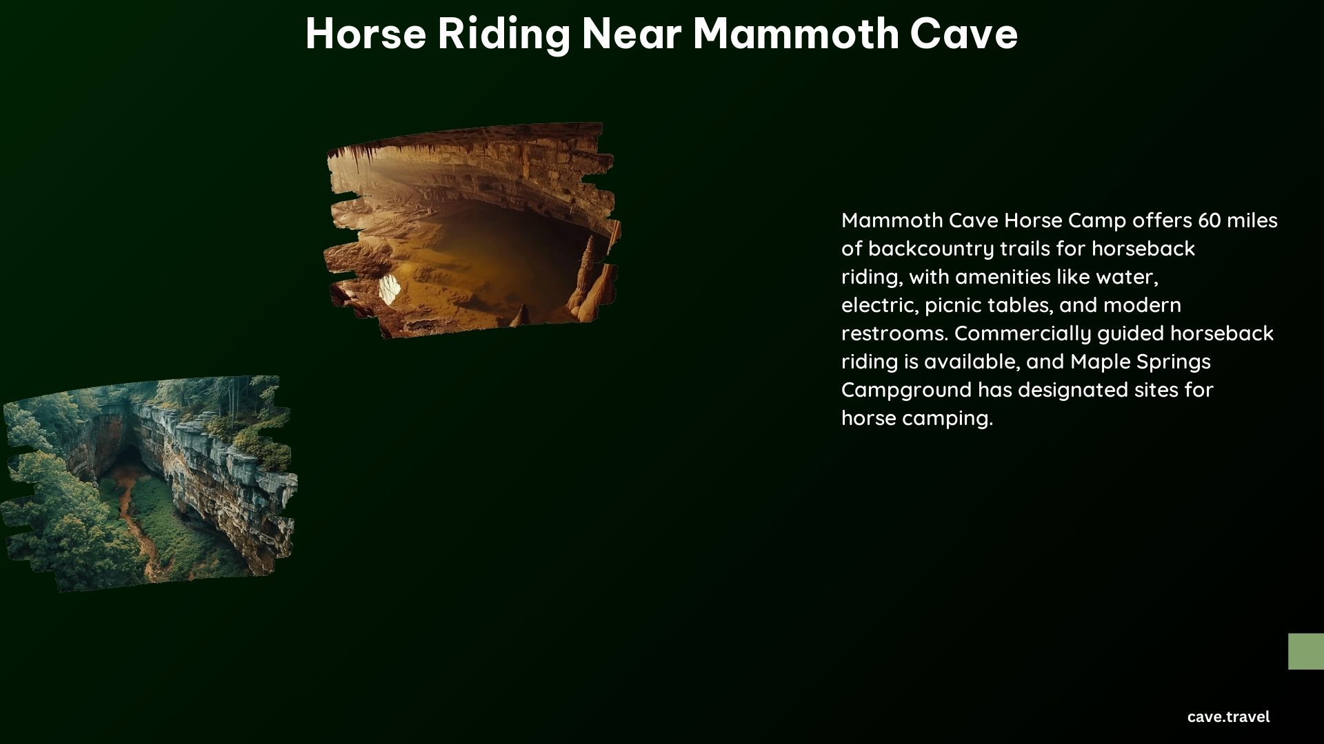 Horse Riding Near Mammoth Cave