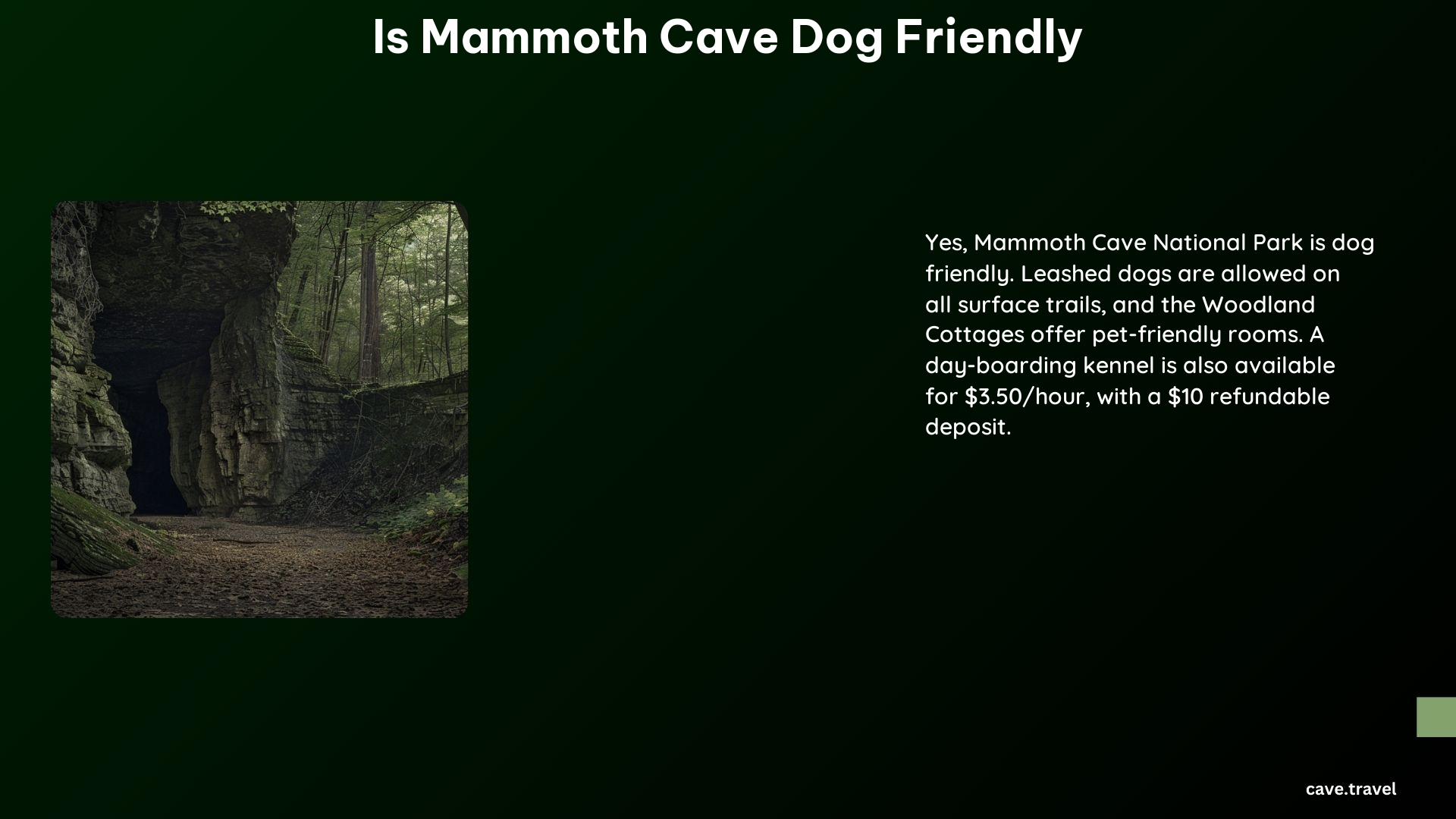 Is Mammoth Cave Dog Friendly