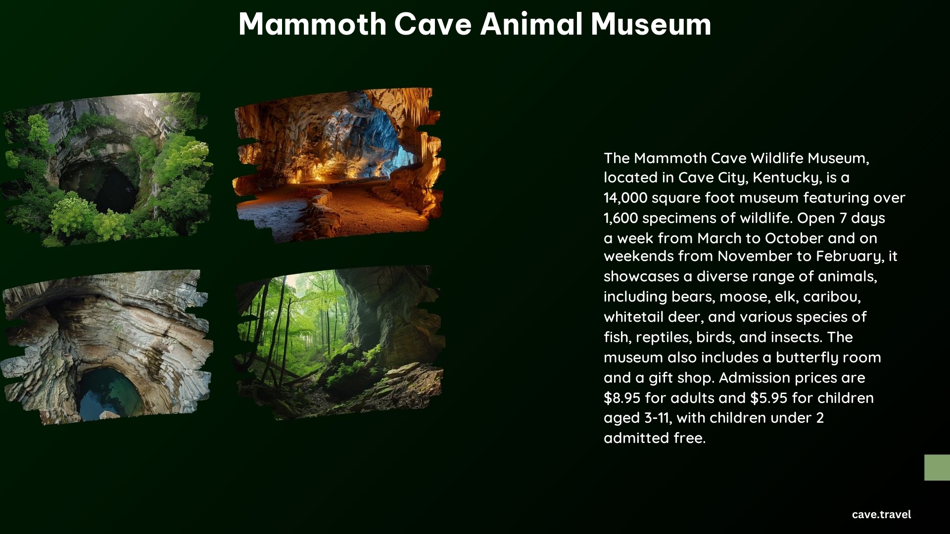 Mammoth Cave Animal Museum