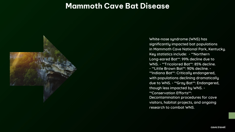 Mammoth Cave Bat Disease