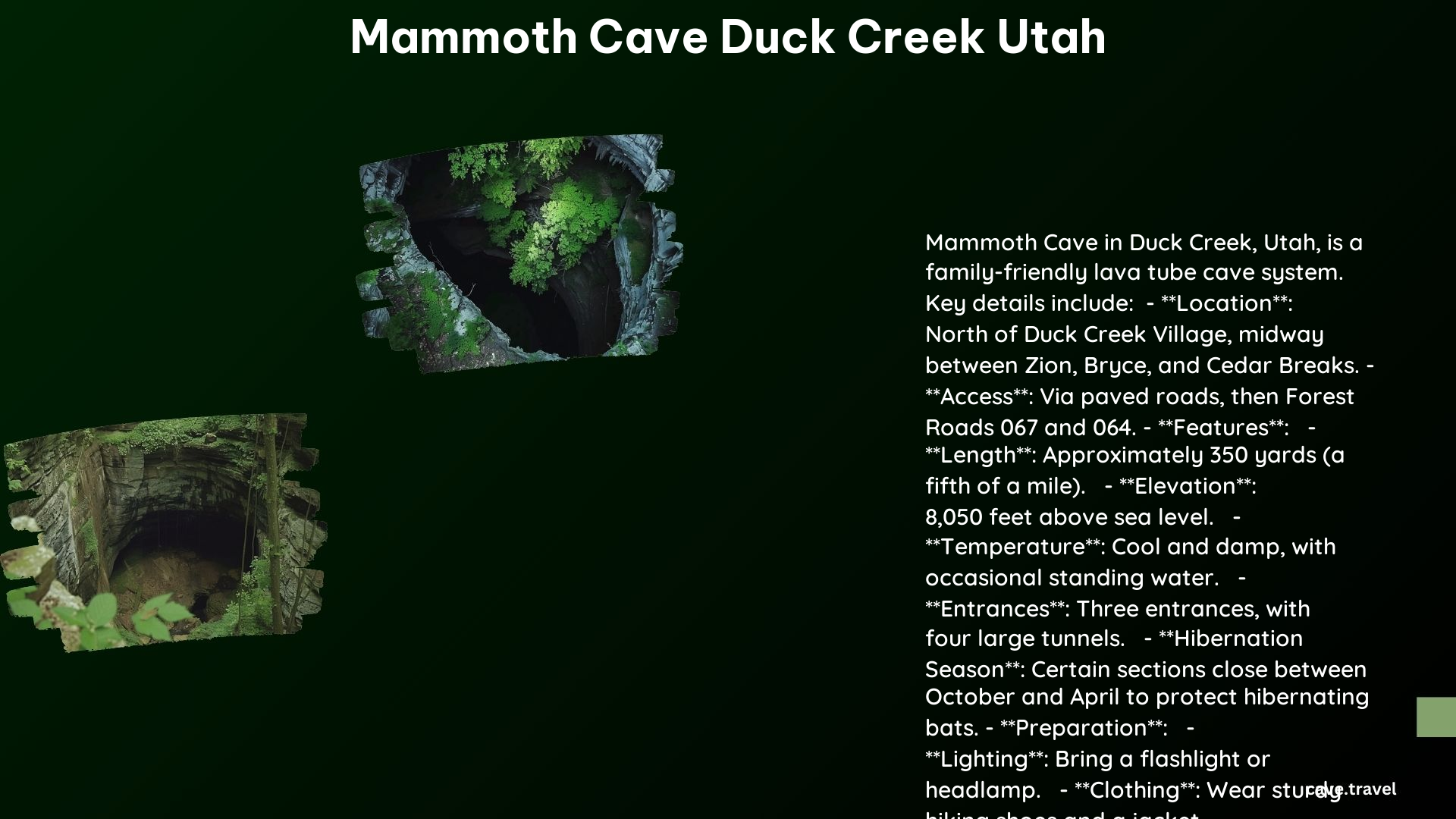 Mammoth Cave Duck Creek Utah