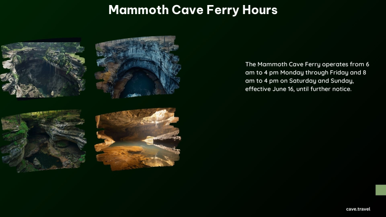 Mammoth Cave Ferry Hours