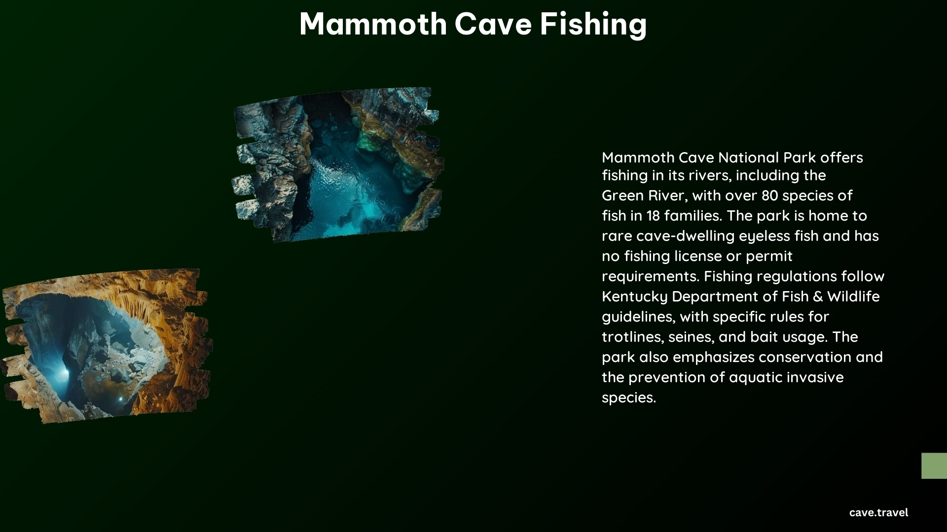 Mammoth Cave Fishing