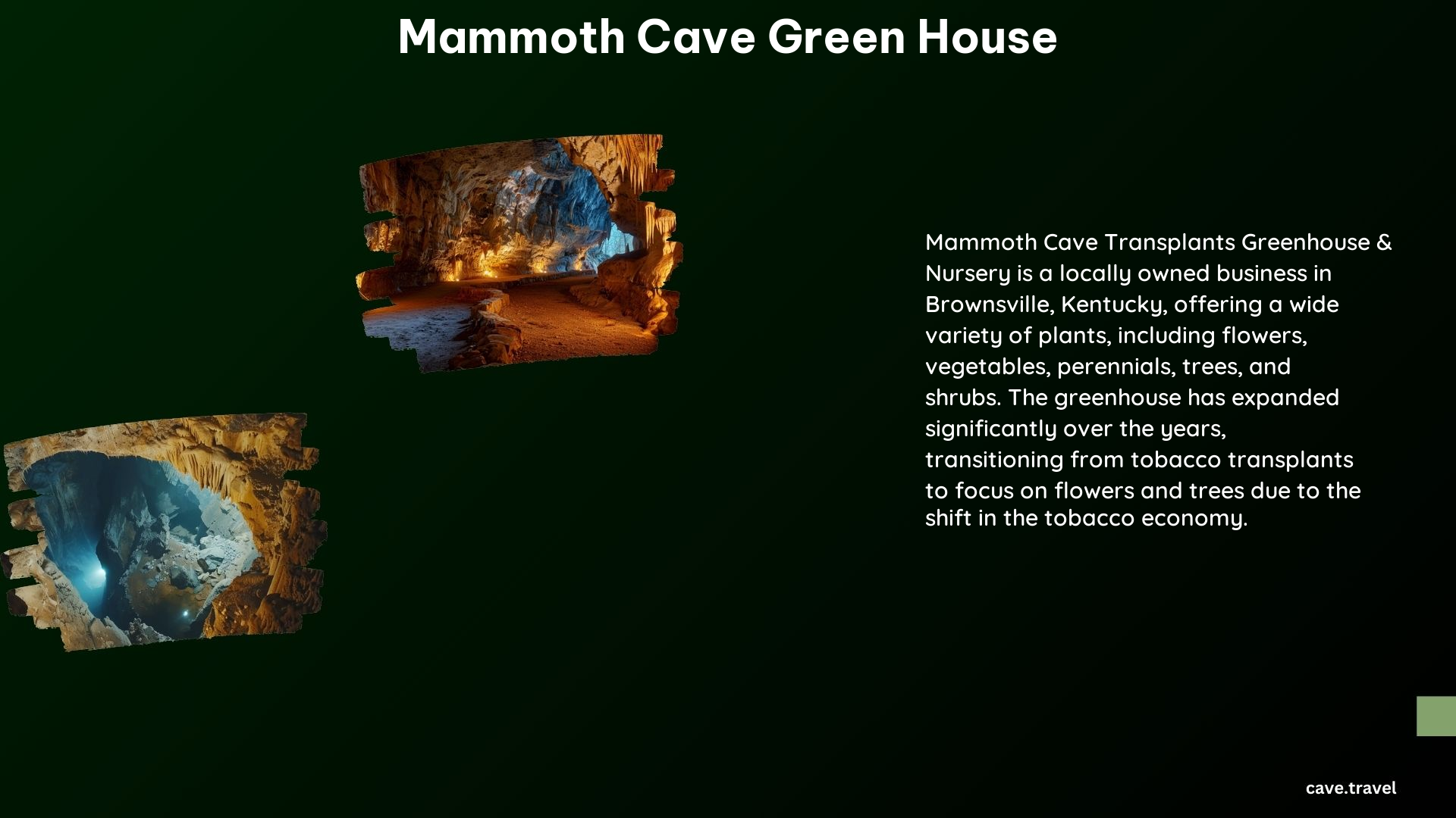 Mammoth Cave Green House