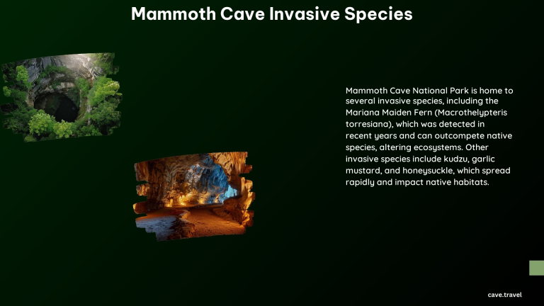 Mammoth Cave Invasive Species