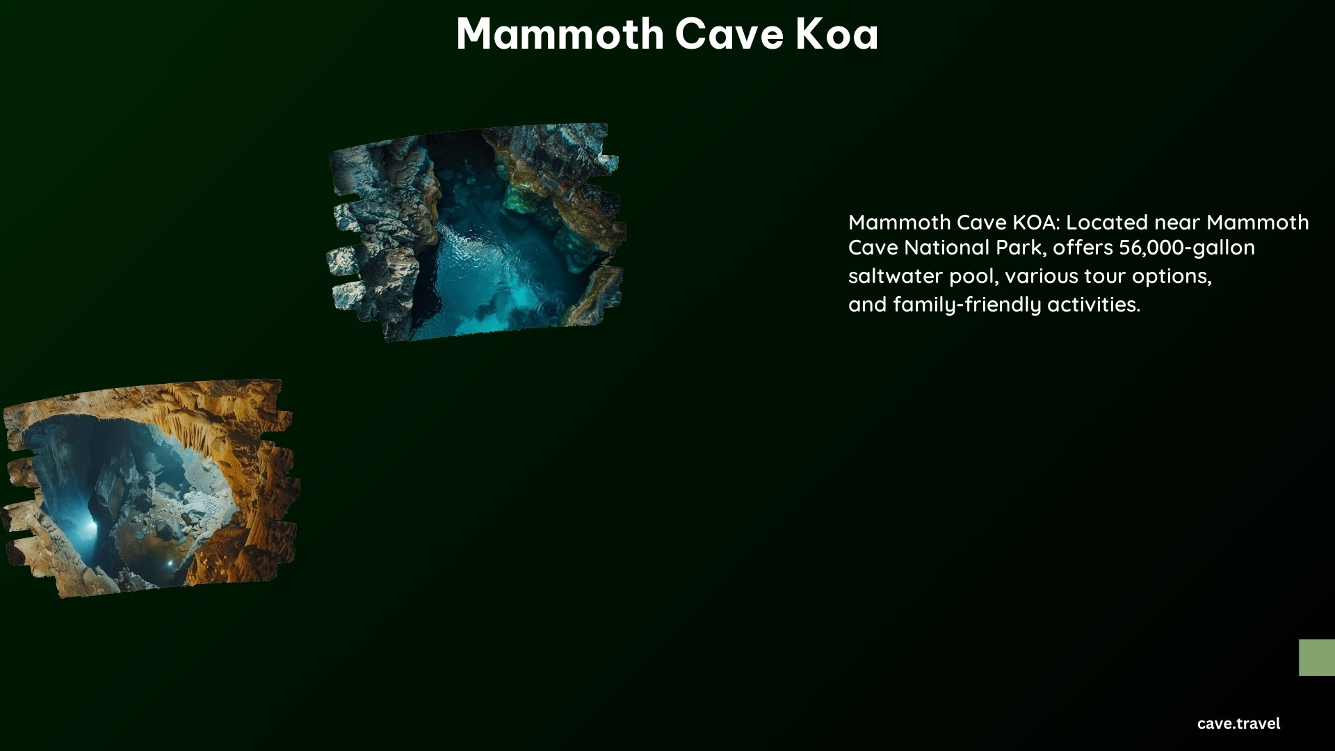 Mammoth Cave Koa