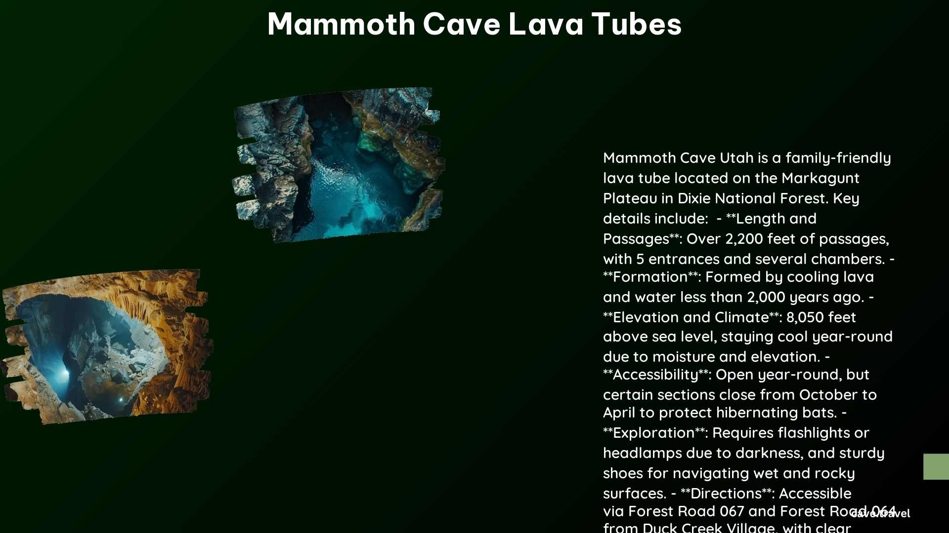 Mammoth Cave Lava Tubes