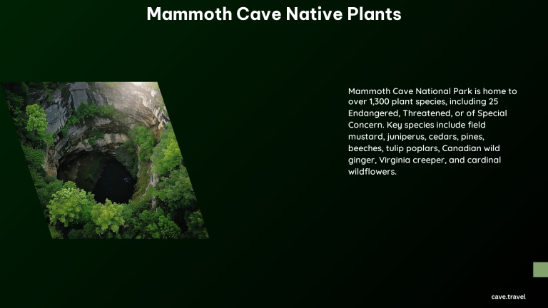 Mammoth Cave Native Plants