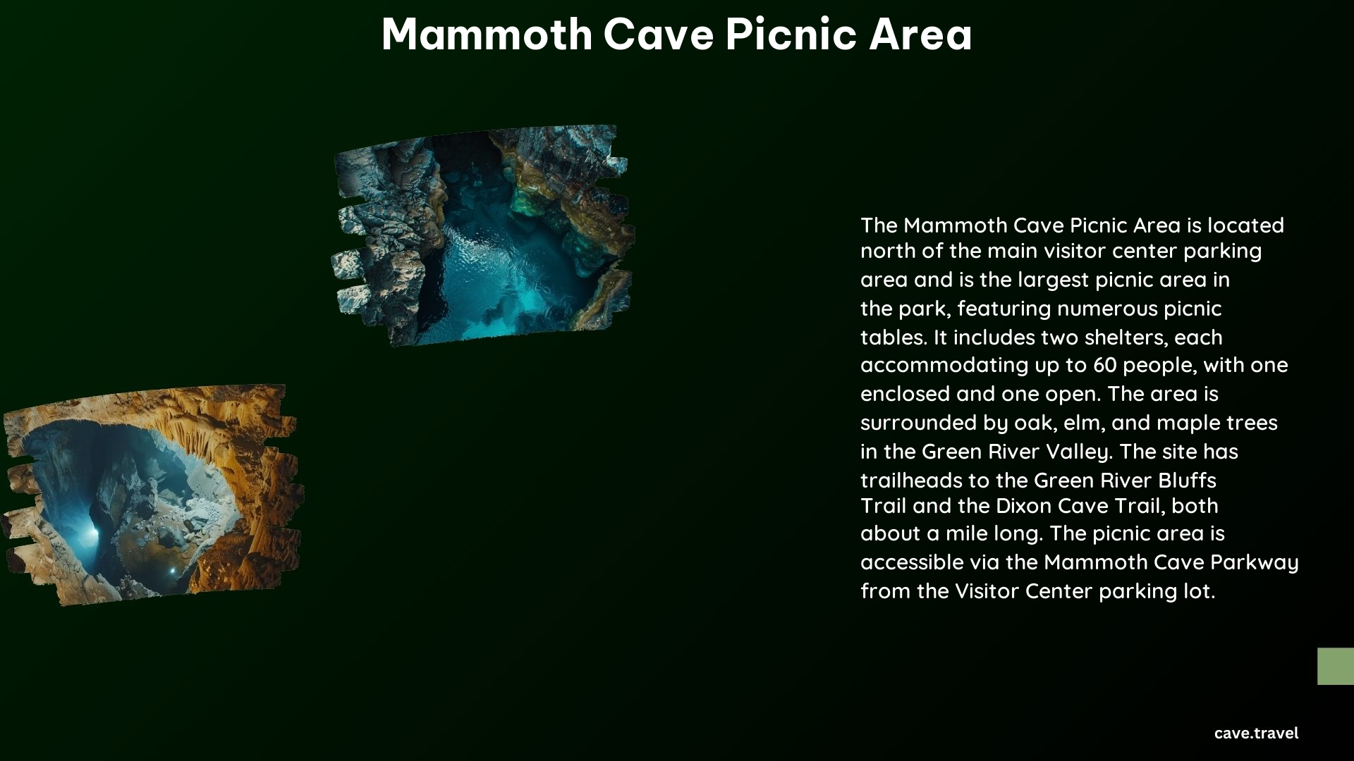 Mammoth Cave Picnic Area