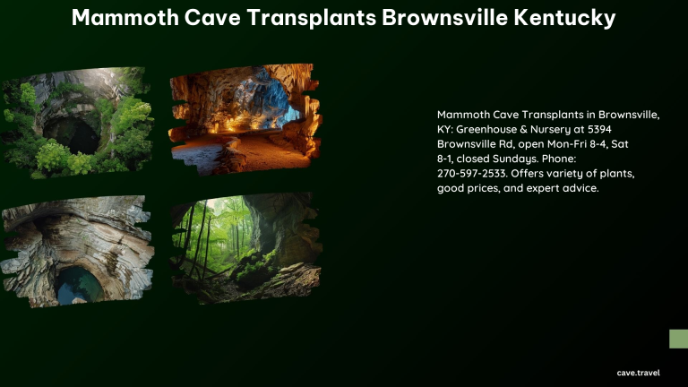 Mammoth Cave Transplants Brownsville Kentucky