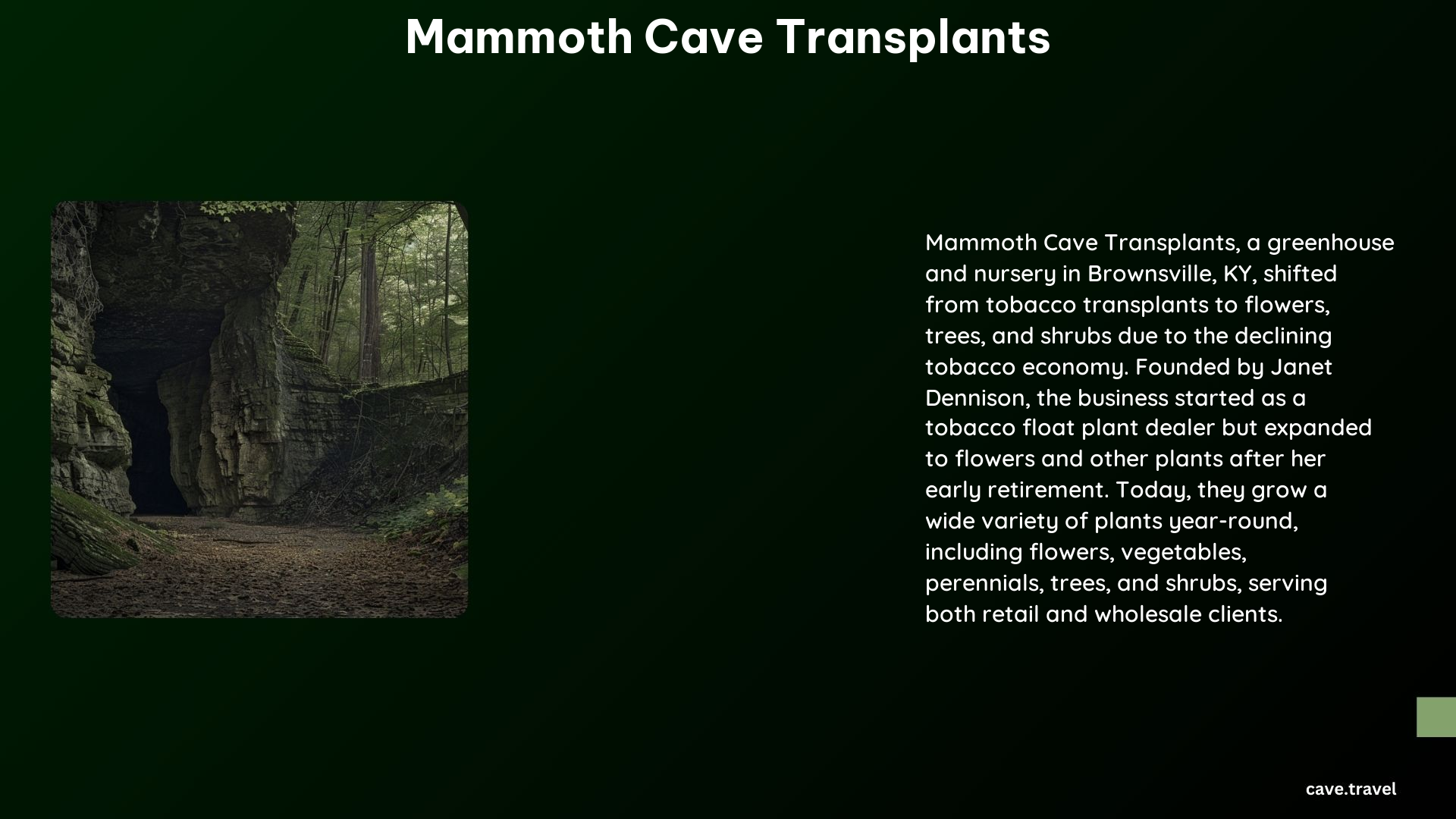 Mammoth Cave Transplants