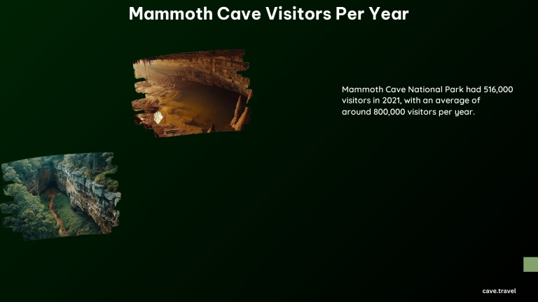 Mammoth Cave Visitors per Year