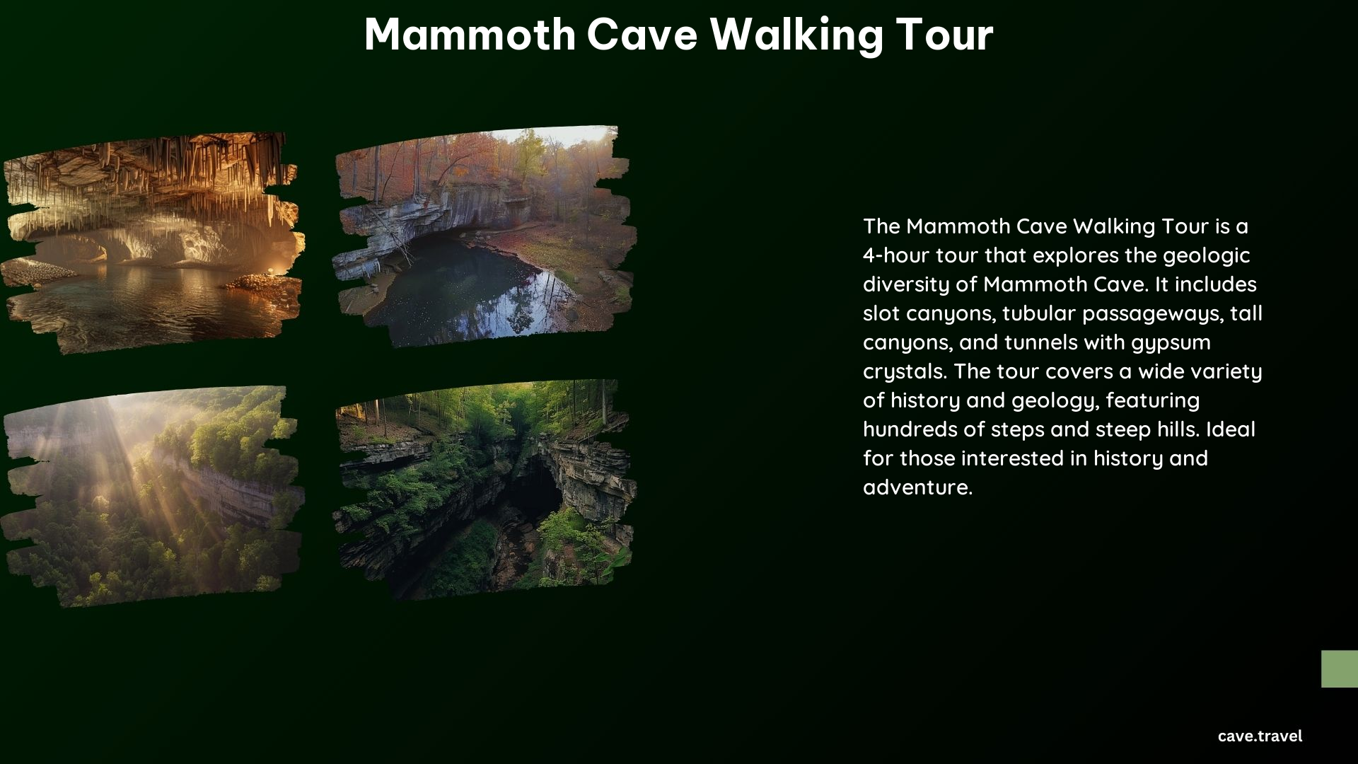 Mammoth Cave Walking Tour