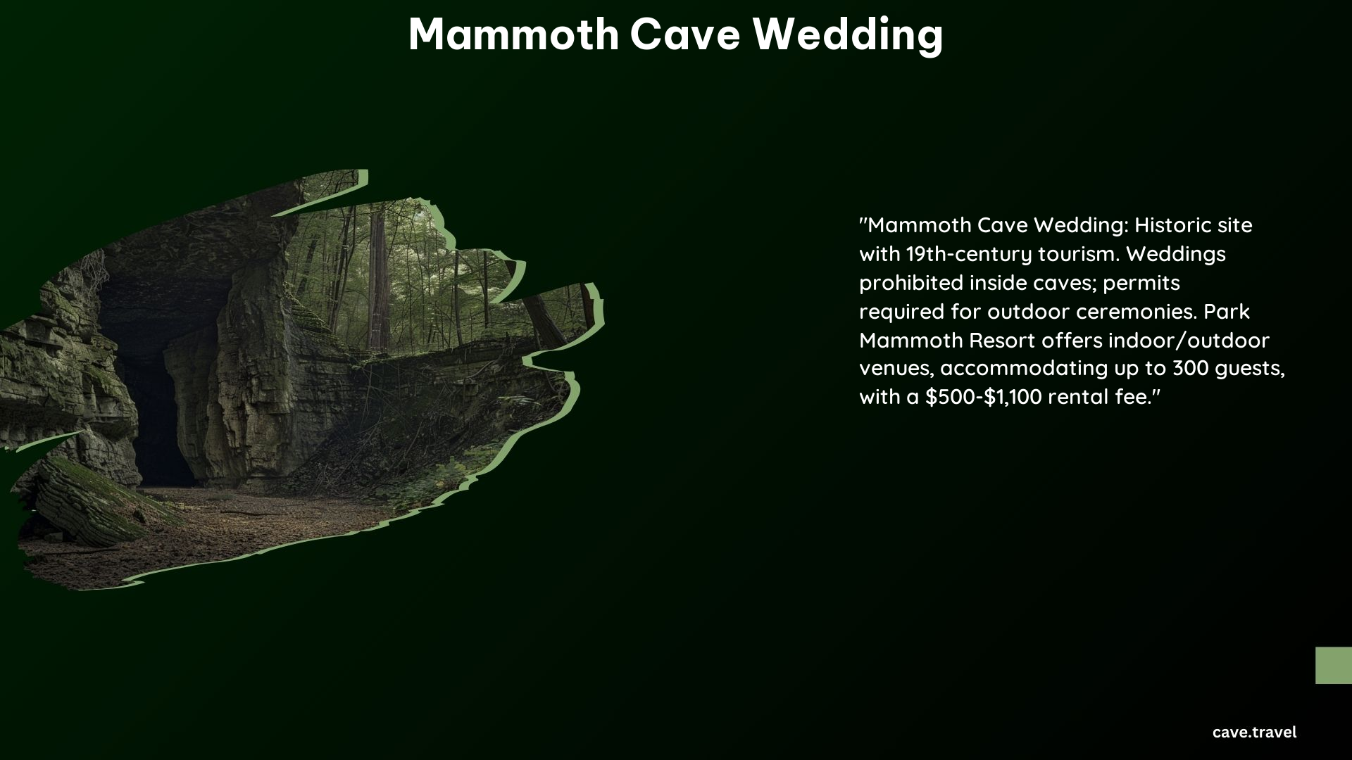 Mammoth Cave Wedding