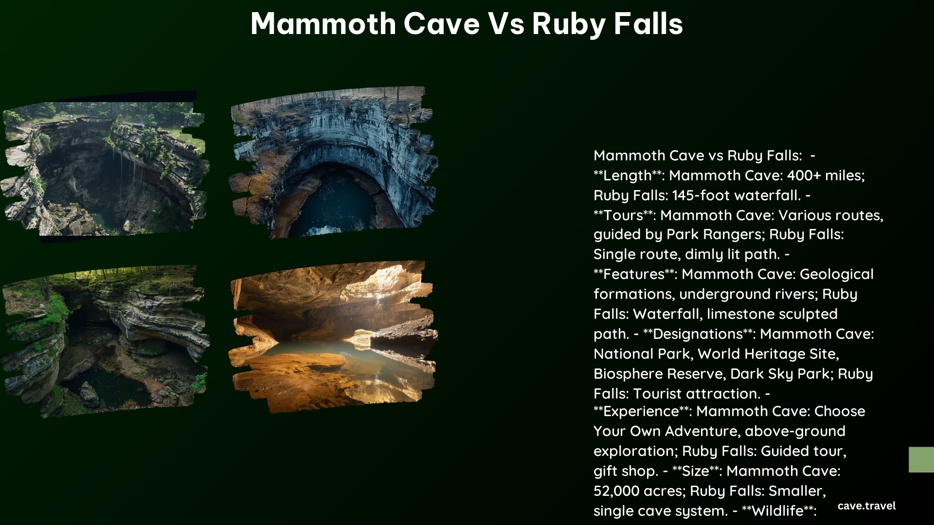 Mammoth Cave vs Ruby Falls