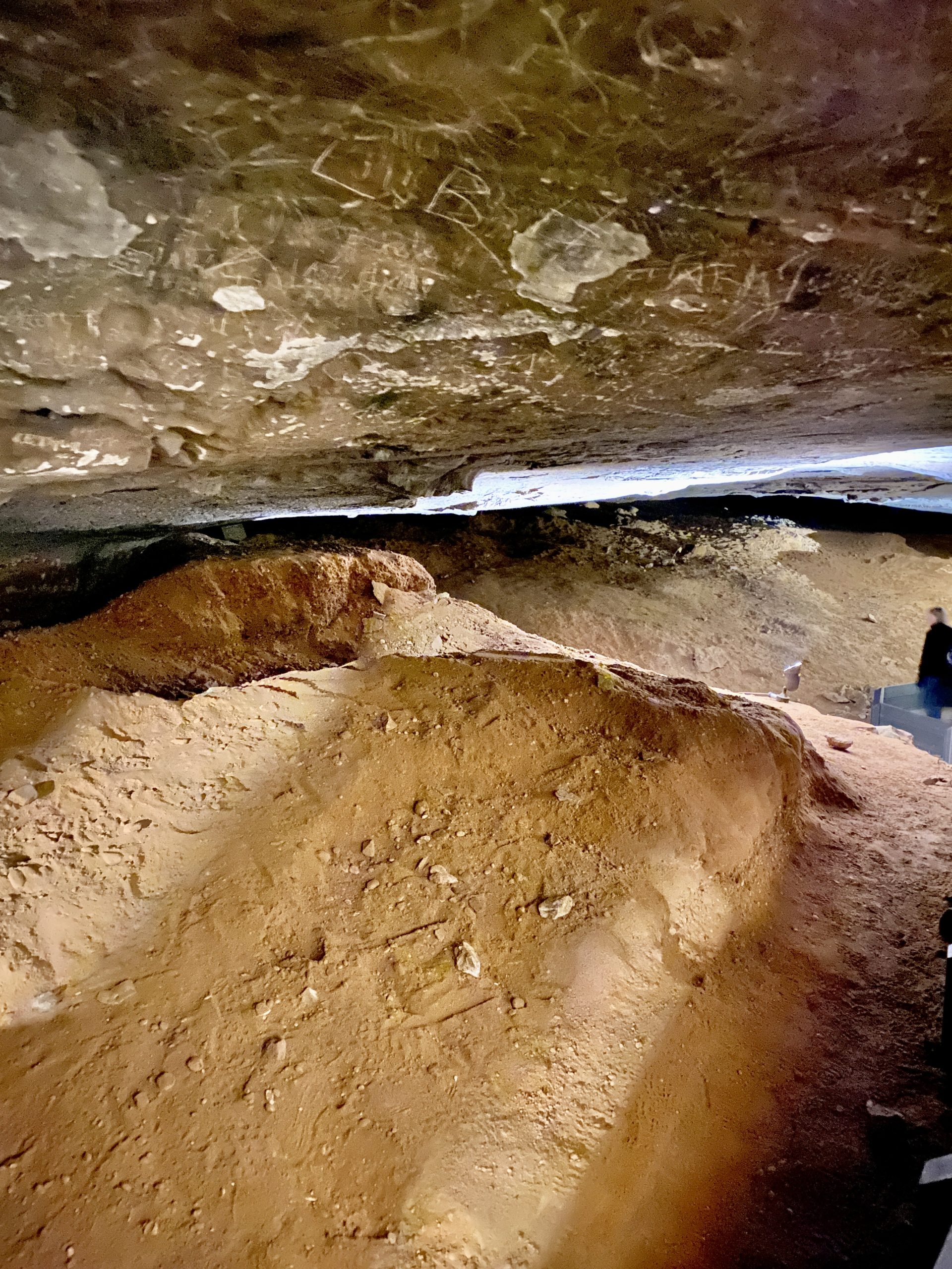 Different Mammoth Cave Tours