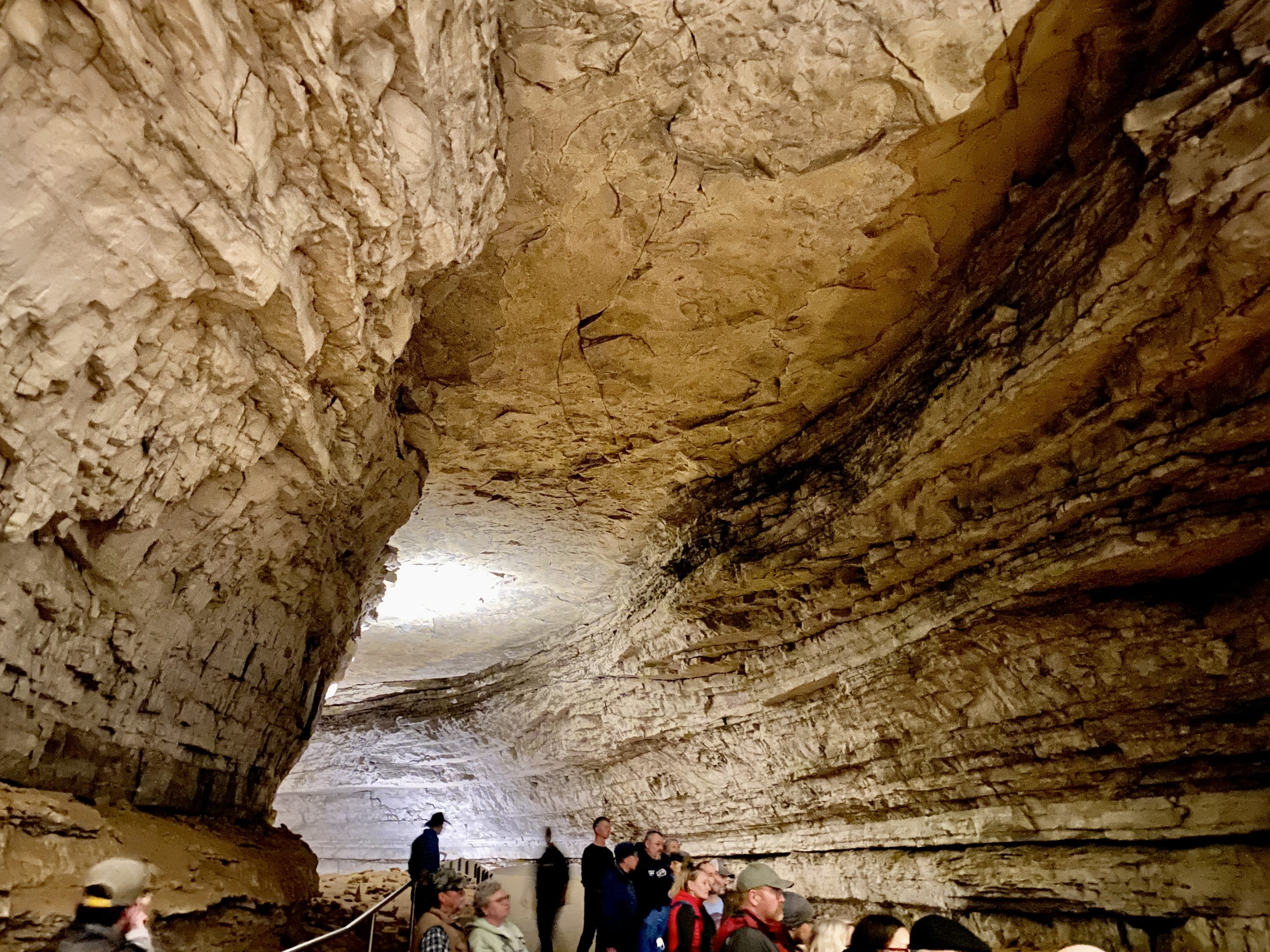 Are There Any Living Sharks in Mammoth Cave