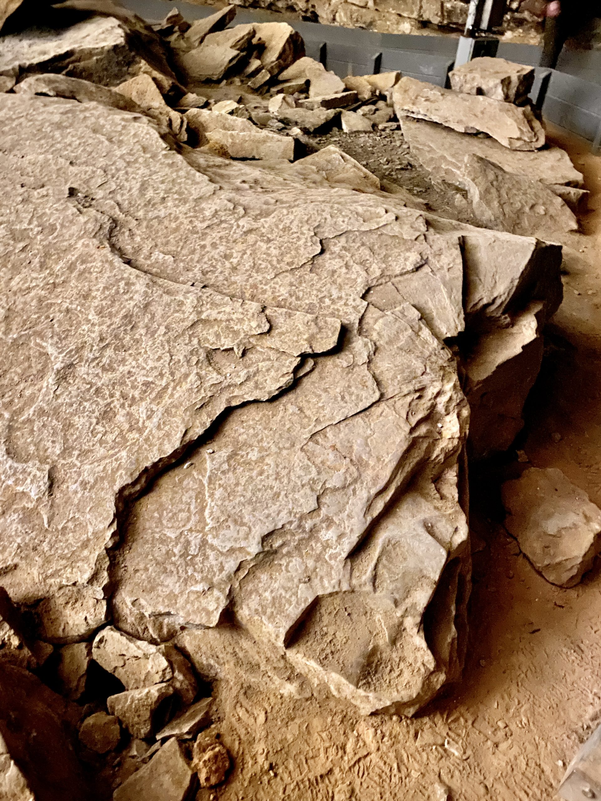 Mammoth Cave Sleep Experiment