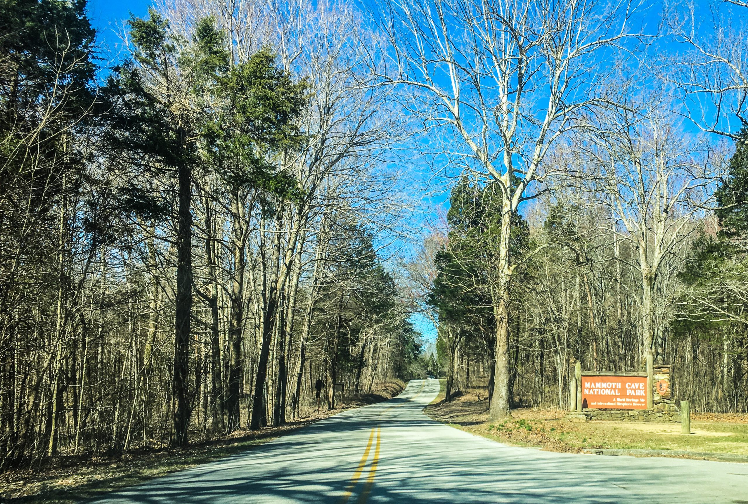 Mammoth Cave New Entrance