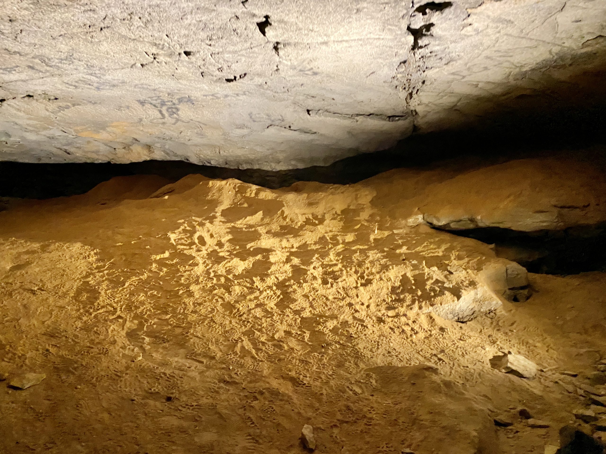 First Creek Lake Mammoth Cave