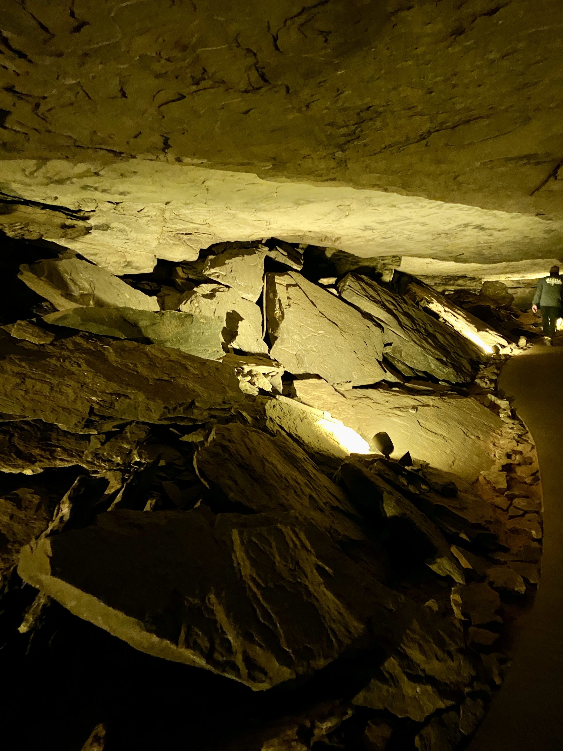 Mammoth Cave Beneath Your Feet