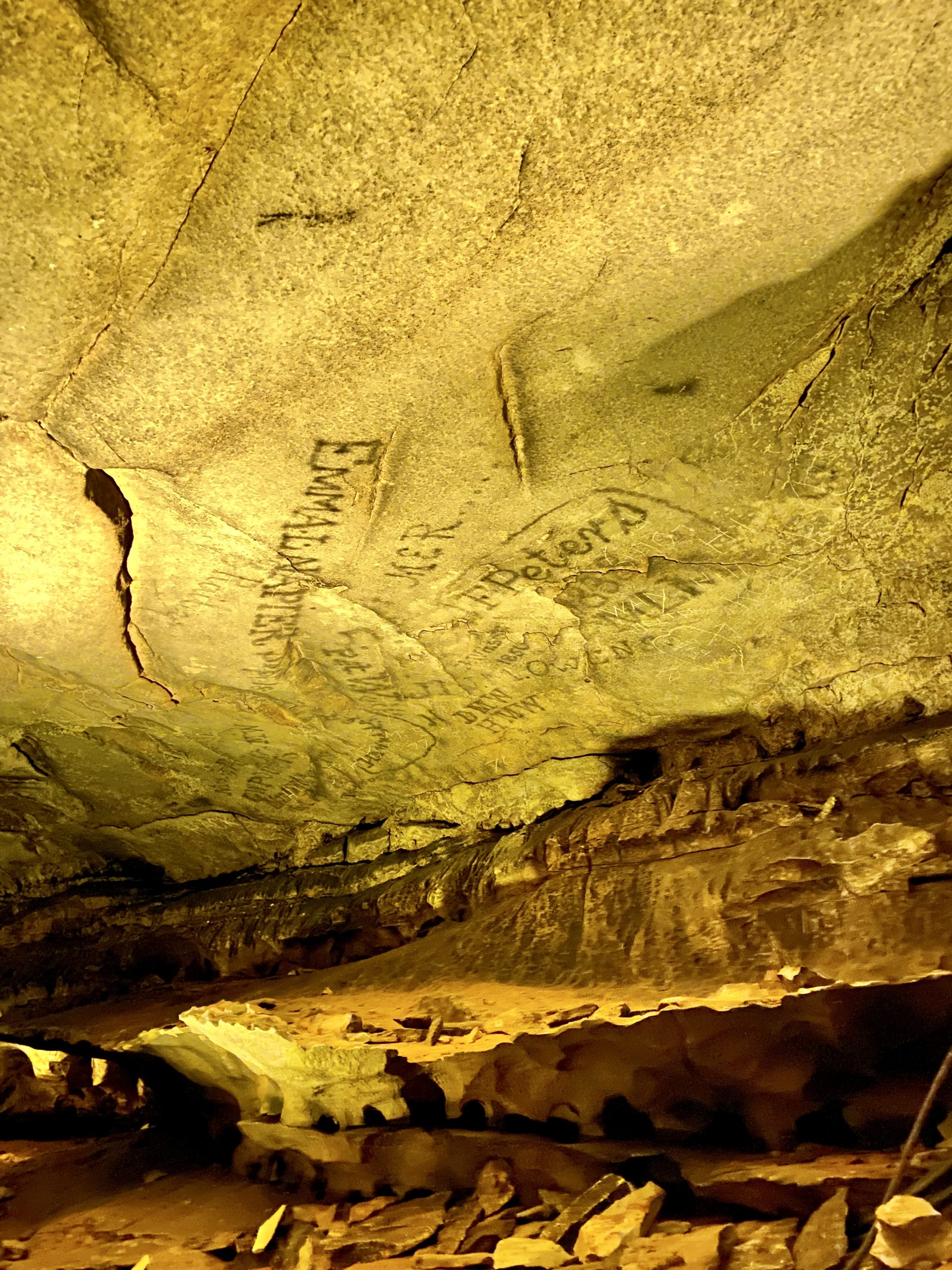 Mammoth Cave Plants