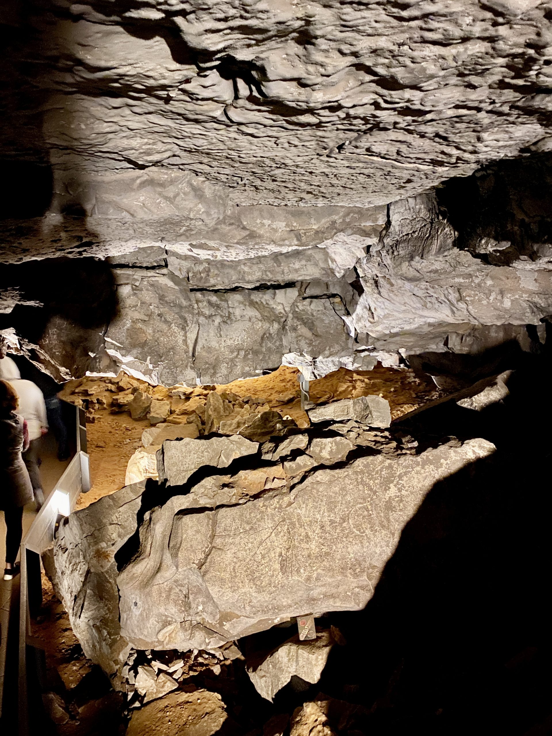 Mammoth Cave Rooms