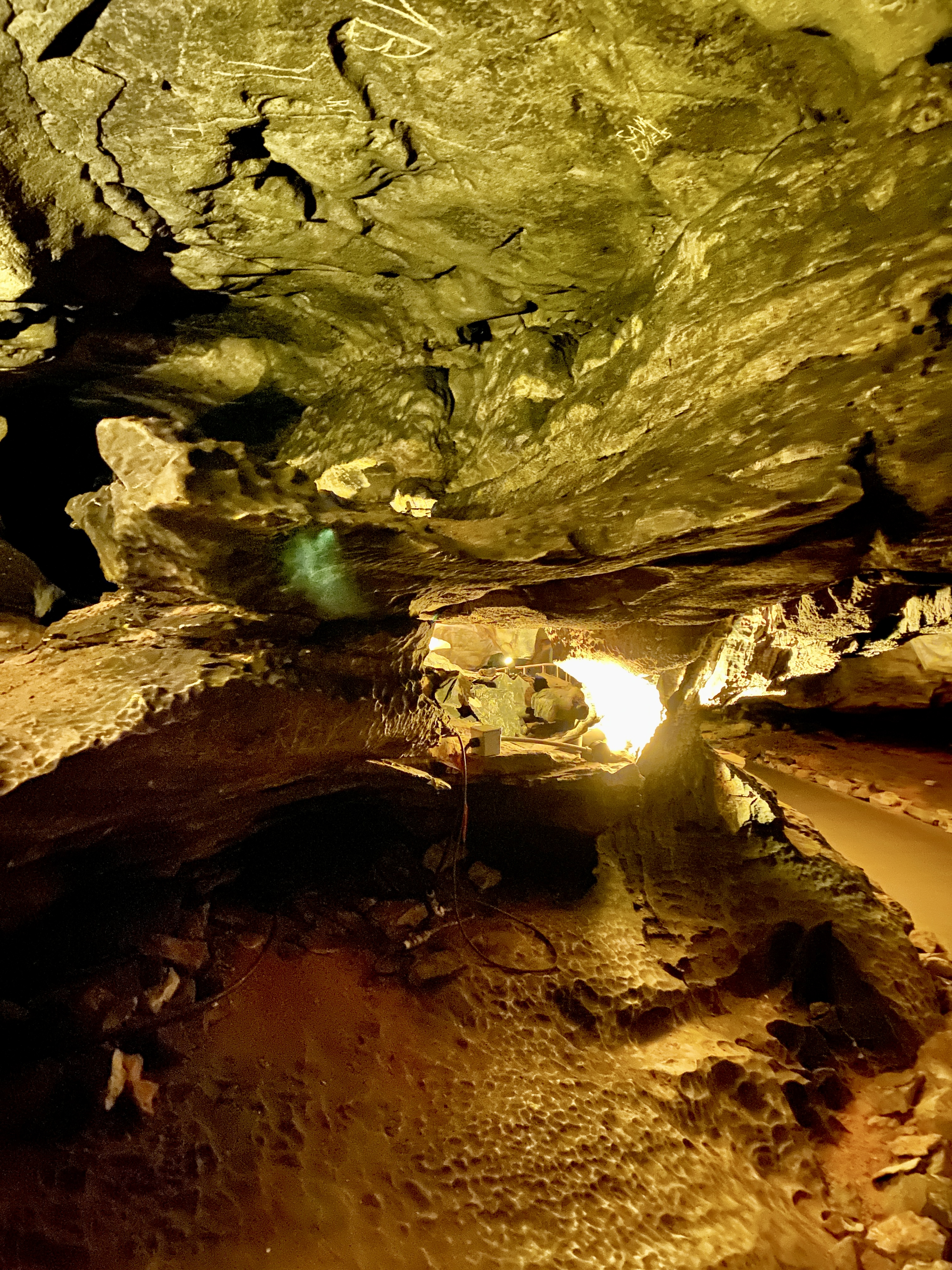 Is Mammoth Cave Bigger Than Carlsbad Caverns