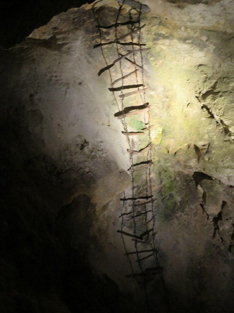 carlsbad caverns season