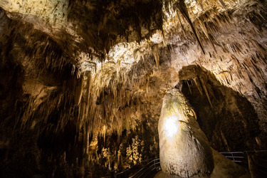 carlsbad caverns permit