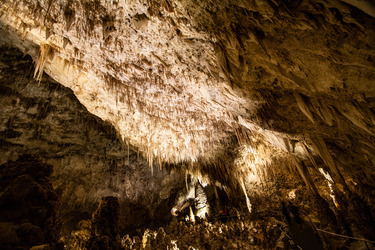 carlsbad caverns boat tours