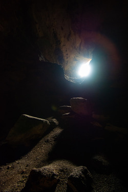 carlsbad caverns age