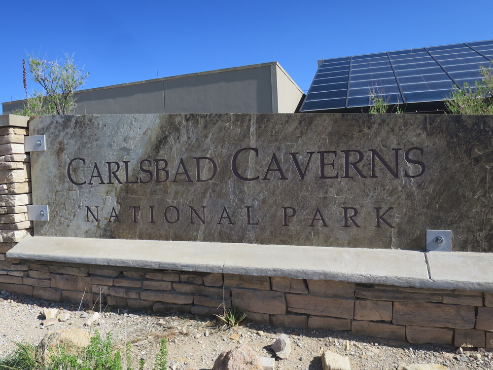 carlsbad caverns bat show