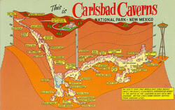 carlsbad caverns average temperature