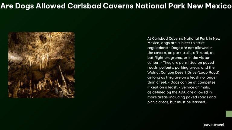 are dogs allowed carlsbad caverns national park new mexico