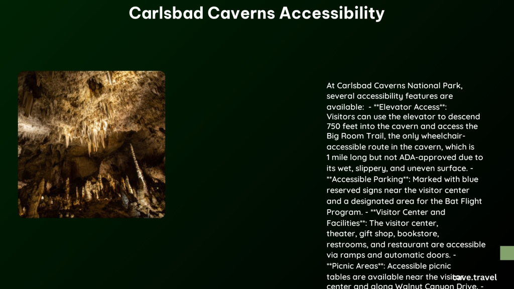 carlsbad caverns accessibility