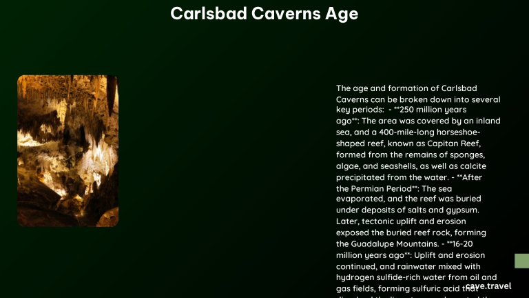 carlsbad caverns age