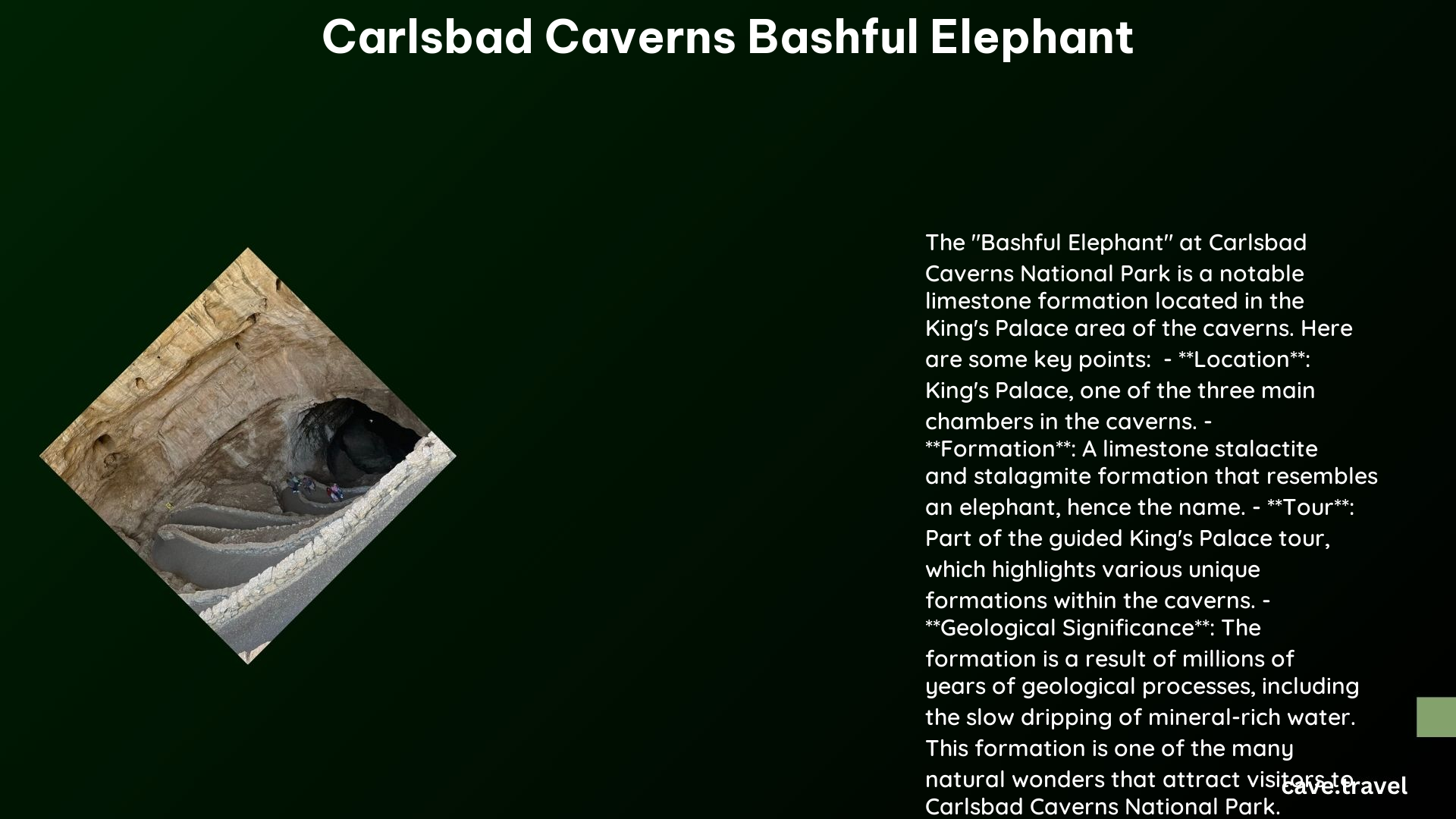 carlsbad caverns bashful elephant