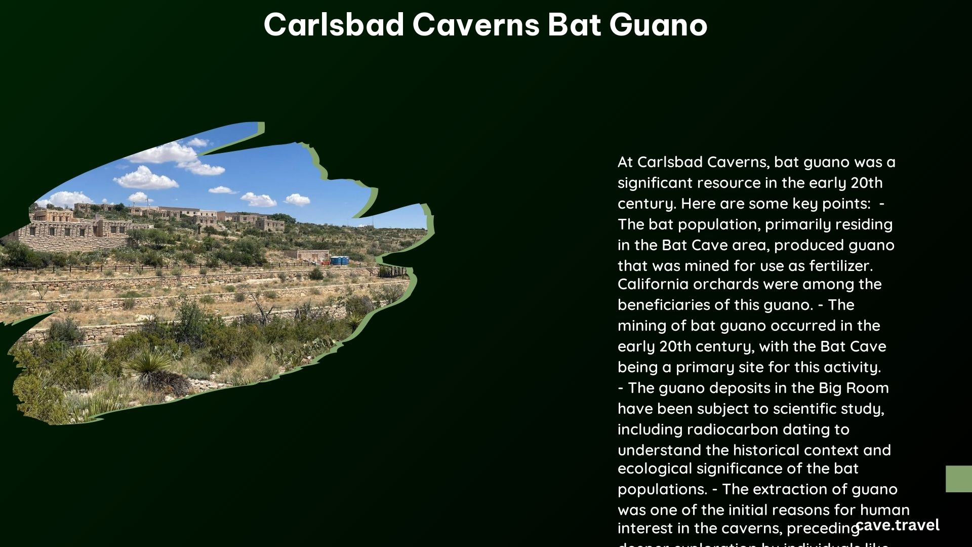 carlsbad caverns bat guano