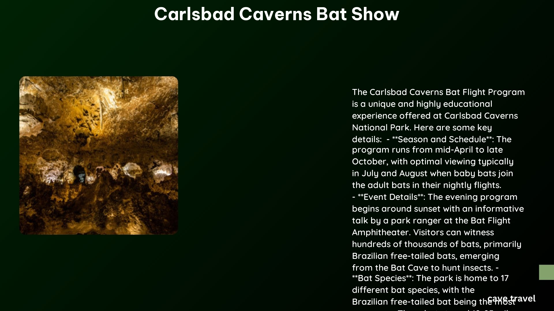 carlsbad caverns bat show