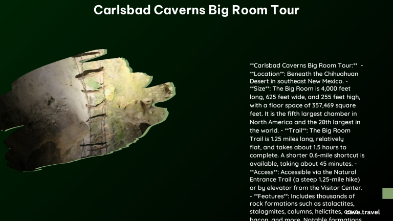 carlsbad caverns big room tour