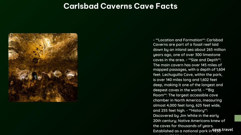 carlsbad caverns cave facts