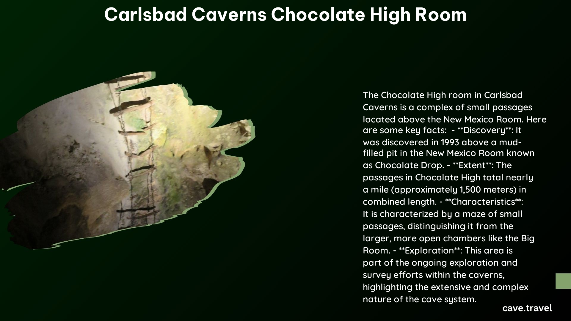 carlsbad caverns chocolate high room