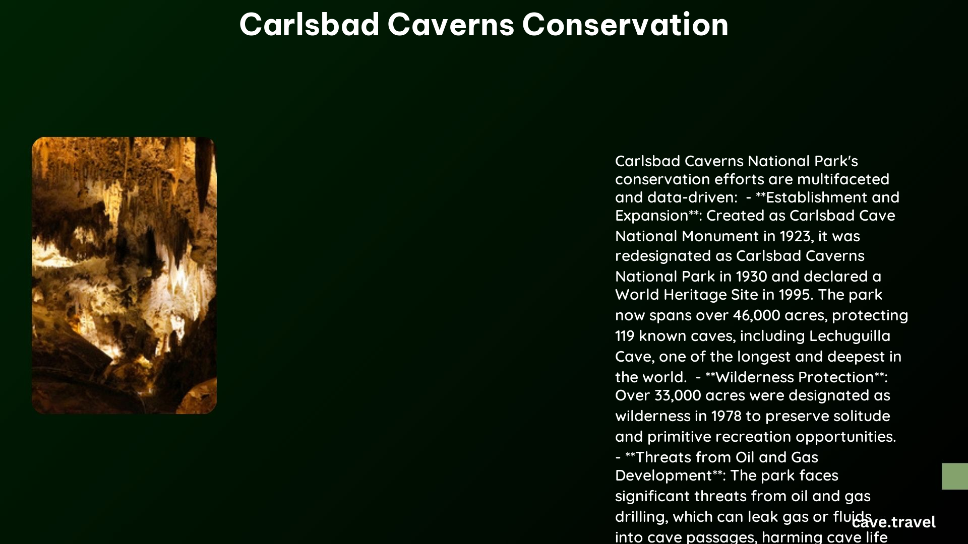 carlsbad caverns conservation