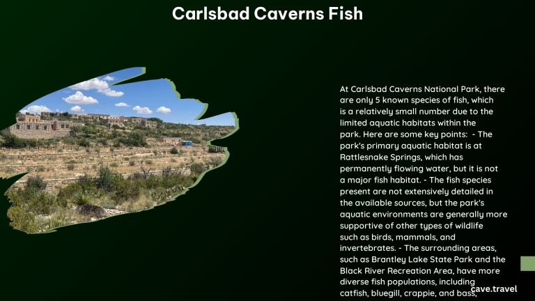 carlsbad caverns fish