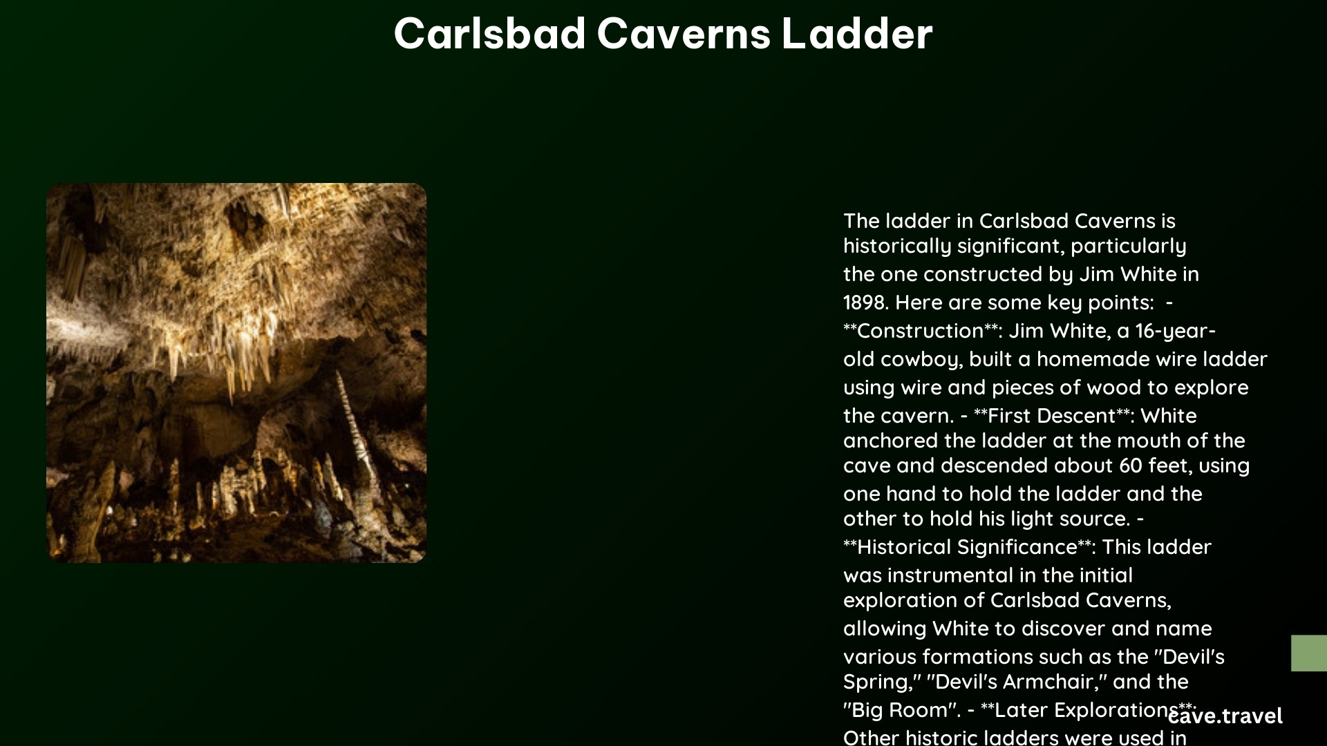 carlsbad caverns ladder