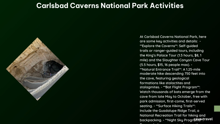 carlsbad caverns national park activities