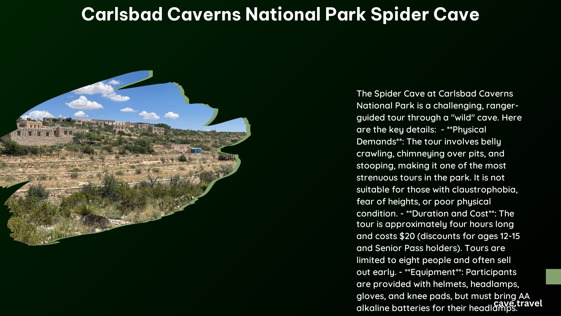 carlsbad caverns national park spider cave